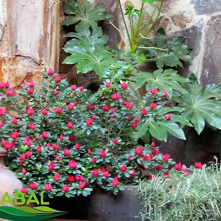 Rurales Azabal, Hurdes, Atr-cc-00260 Apartment