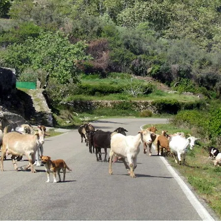 Rurales Azabal, Hurdes, Atr-cc-00260 Azabal