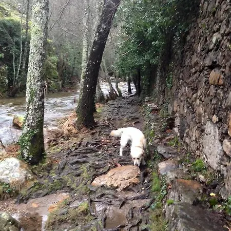 Rurales Azabal, Hurdes, Atr-cc-00260 Апартаменты Асабаль