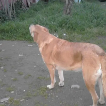 Apartment Rurales Azabal, Hurdes, Atr-cc-00260 Azabal