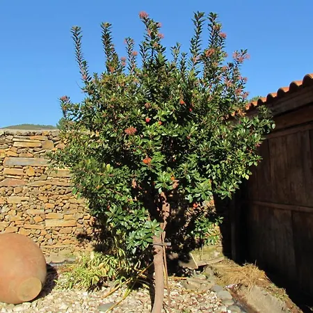 Апартаменты Rurales Azabal, Hurdes, Atr-cc-00260 Асабаль