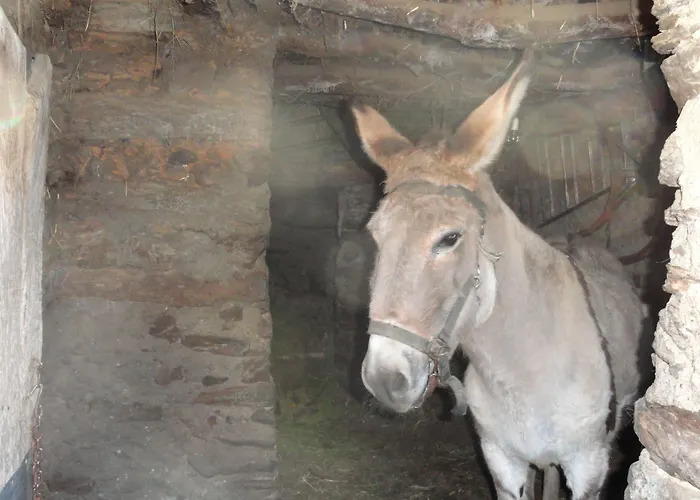 Rurales Azabal, Hurdes, Atr-cc-00260 Apartment