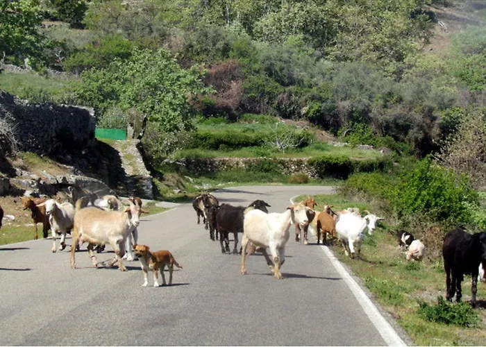 Rurales Azabal, Hurdes, Atr-cc-00260 Azabal