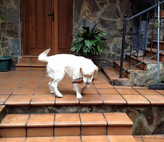 Appartement Rurales Azabal, Hurdes, Atr-cc-00260 *