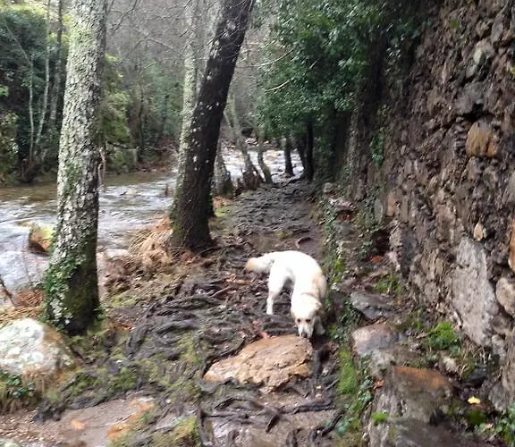 Rurales Azabal, Hurdes, Atr-cc-00260 Appartement Azabal