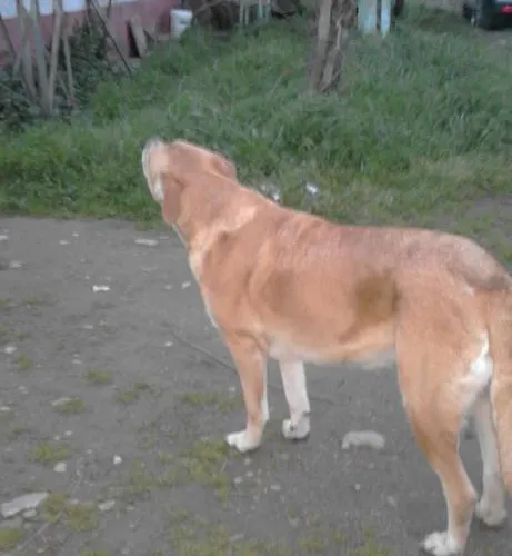 Appartement Rurales Azabal, Hurdes, Atr-cc-00260 Azabal